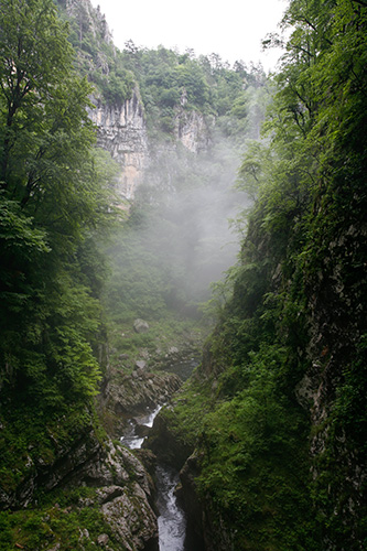 The Reka River, near the entrance to Skocjan Caves. Copyright Haydn Williams 2008.