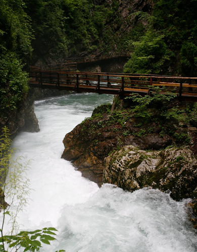 Vintgar Gorge wooden walkway (Copyright Haydn Williams 2008)