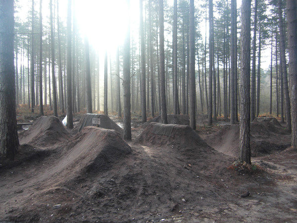 <strong>Jumps, Sherwood Pines.</strong><br />Copyright Haydn Williams 2009.