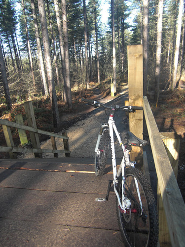 <strong>Downhill start gate.</strong><br />Copyright Haydn Williams 2009.