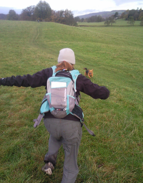 Dog chasing in Chatsworth. Copyright Haydn Williams 2009.