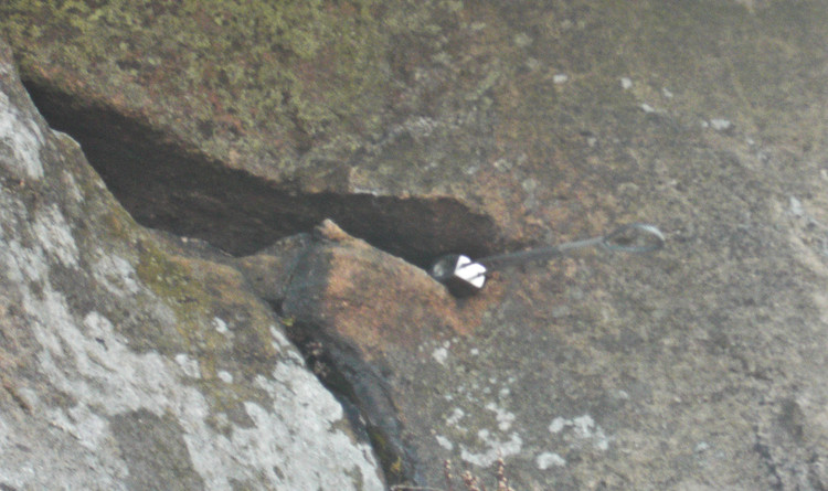 I appreciate this perhaps isn't up to the standard of photography expected of this blog, but it was a *very* nice placement.