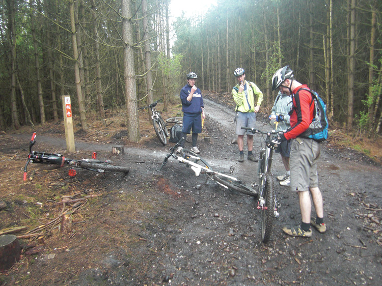 Rest stop, halfway around the Monkey Trail. Copyright Haydn Williams 2010