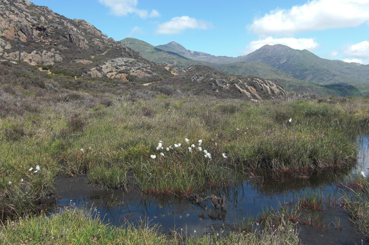 Snowdon and Lliwedd behind the bogs and copper mines of Cwm Bychan. Copyright Haydn Williams 2010