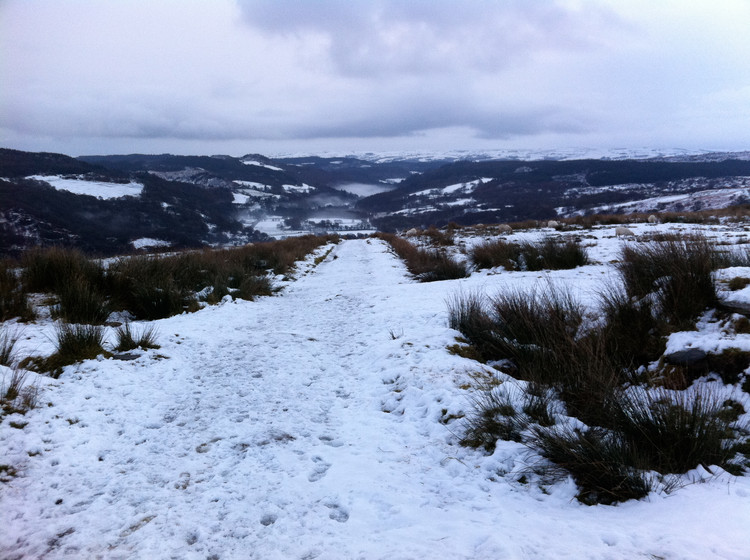 View towards Betws y Coed and the Conwy Valley. Copyright Haydn Williams 2010.