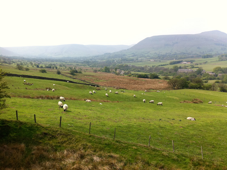 The Edale Valley looking very spring-like. Copyright Haydn Williams 2011.