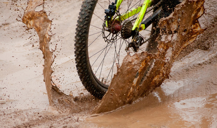 © Haydn Williams 2011