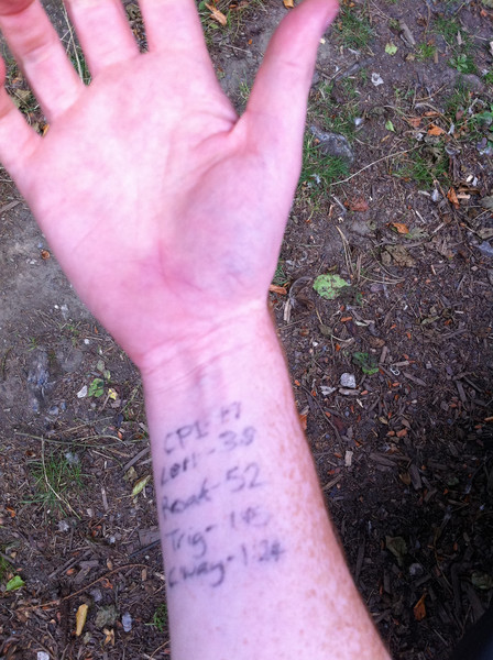 Last year's timings: useful, but not in the way I expected. (c) Haydn Williams 2011