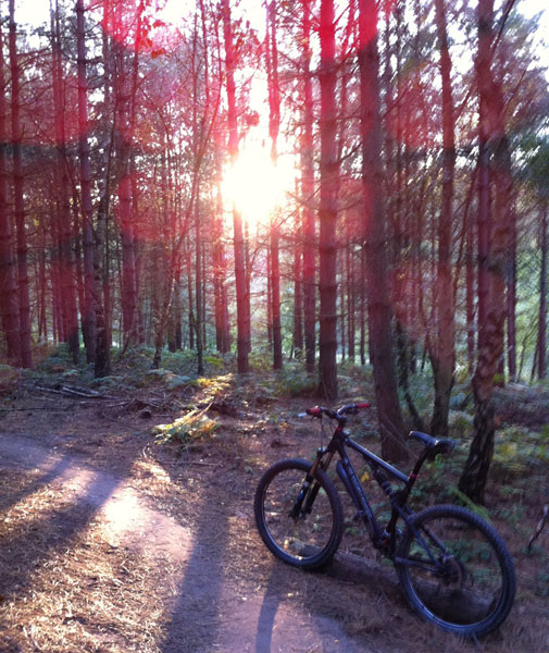 What's not to like? (c) Haydn Williams 2011