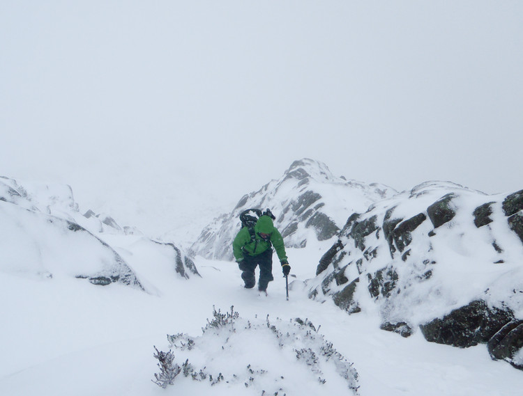 Finally, a chance to play in the snow again. Photo by James Devine. © Haydn Williams 2011.