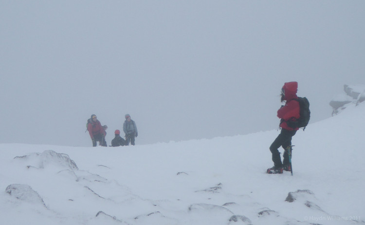 Rosie waiting for the rest of the group at the top of the Goat Track. © Haydn Williams 2012