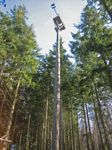 The pole from which you jump to begin the 'plummet'. © Paul Cordell 2012