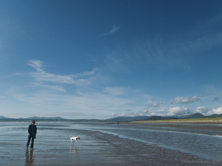 Harlech beach, in the blazing sunshine away from the hills. © Haydn Williams 2012