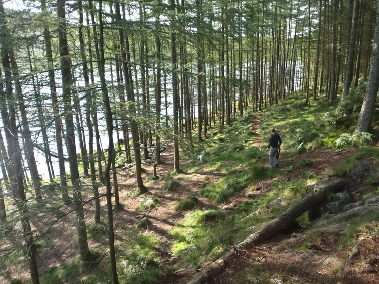 Circumnavigating Llyn Geirionedd. © Haydn Williams 2012