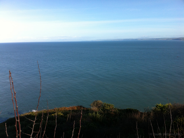 There're definitely dolphins in this picture somewhere. Keep looking. © Haydn Williams 2012