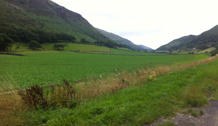 Just outside Abergynolwyn, at the 7-mile marker. Head from the coast, at the far skyline, to here and then back again. © Haydn Williams