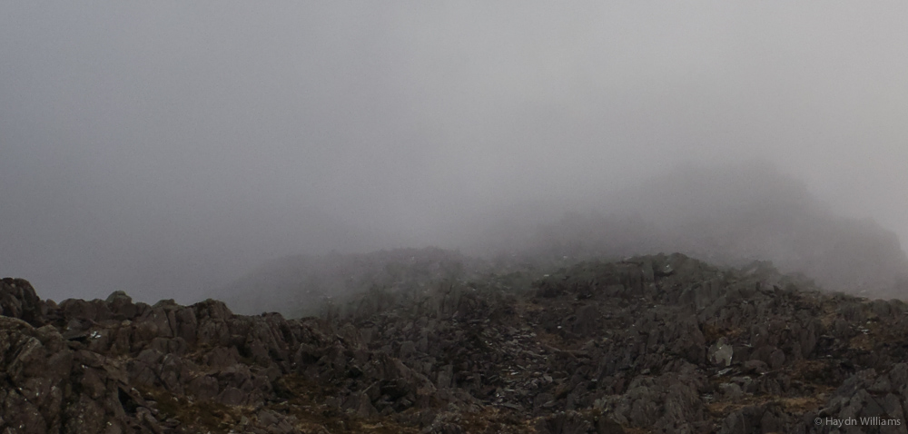 Bad internet! Naughty internet! © Haydn Williams 2014