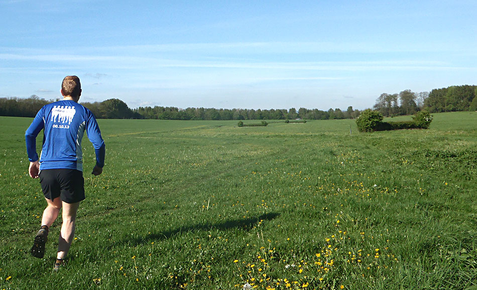 Back on the wagon. For ten minutes, anyway. © Haydn Williams 2014