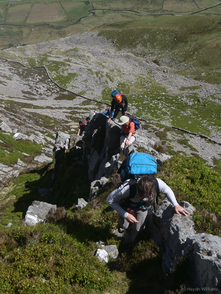 Let's pick a nice quiet route. © Gary Mirams 2014