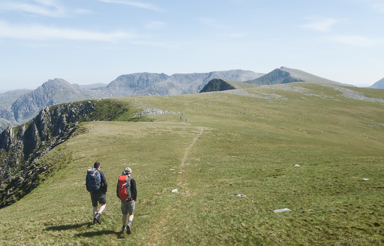 Heading down. © Haydn Williams 2014