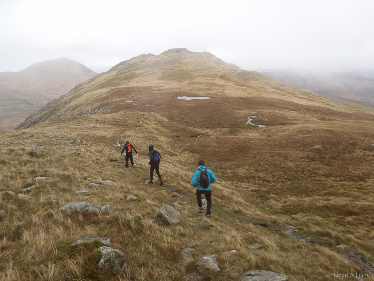 Heading east, back to Capel. © Haydn Williams 2014