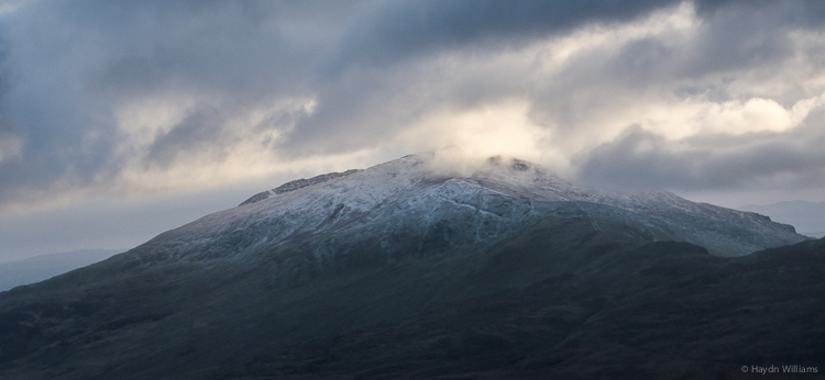 Who could resist this? © Haydn Williams 2014