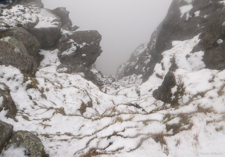 Gullies: definitely not 'in'. © Haydn Williams 2014