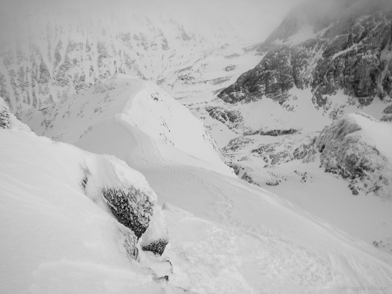 The wider bit of the ridge. © Gary Mirams 2015