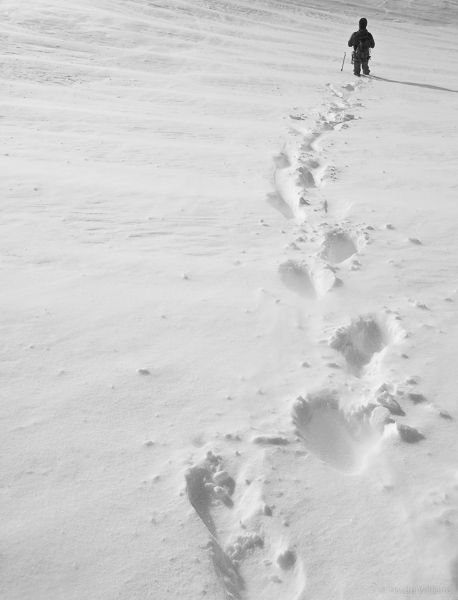 Windy: yep. Snowy: yep. Hard work: yep.  © Haydn Williams 2015