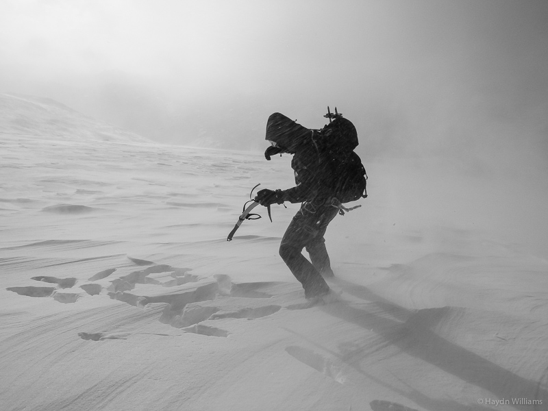 Exfoliating. © Gary Mirams 2015