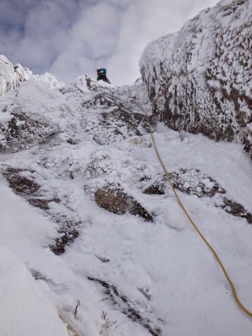 Oh man, this was so much fun. © Gary Mirams 2015