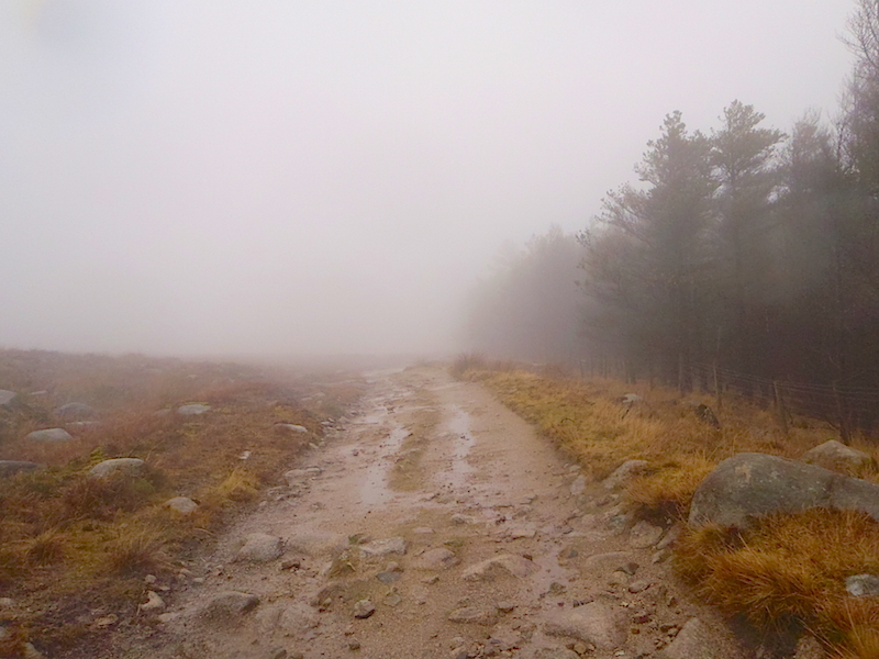 Just keep going along here for a while. © Haydn Williams 2015