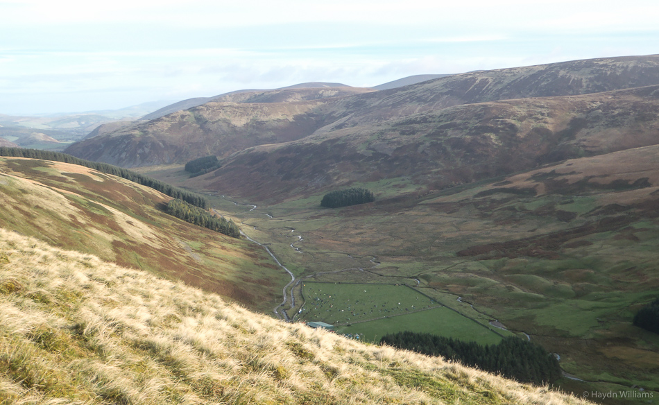 Looking down on mid-camp early on day two. © Haydn Williams 2015