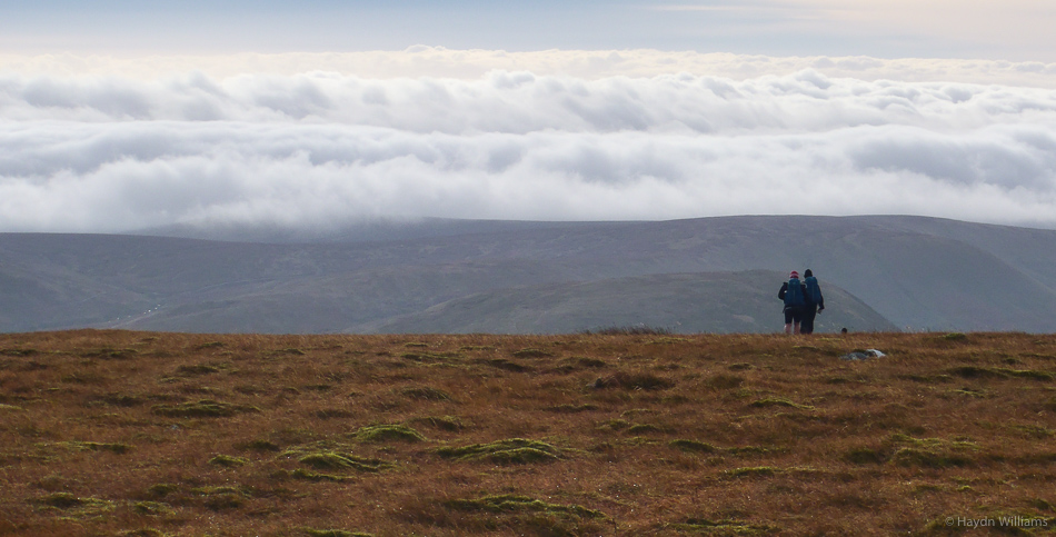 Nice. © Haydn Williams 2015