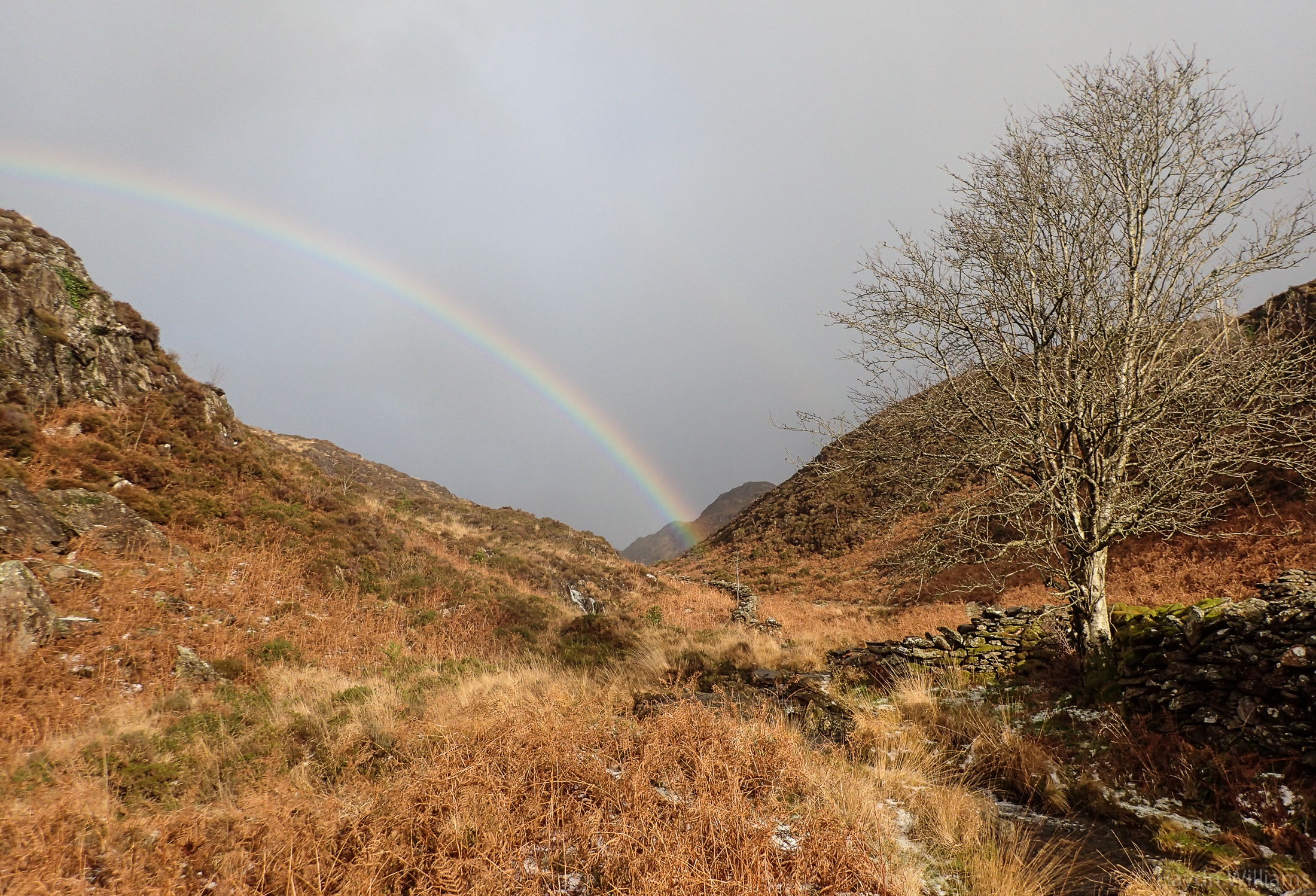Cwm Bychan always looks great. © Haydn Williams 2017