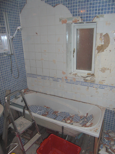 The bathroom before the professionals moved in.