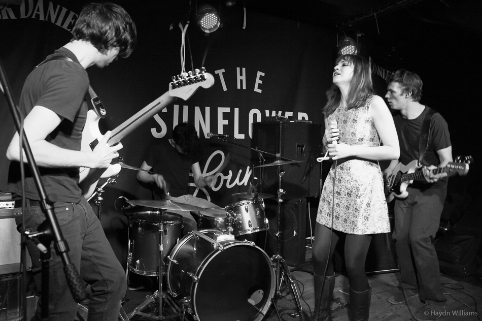 Estrons - Sunflower Lounge, Feb 2016. © Haydn Williams 2016