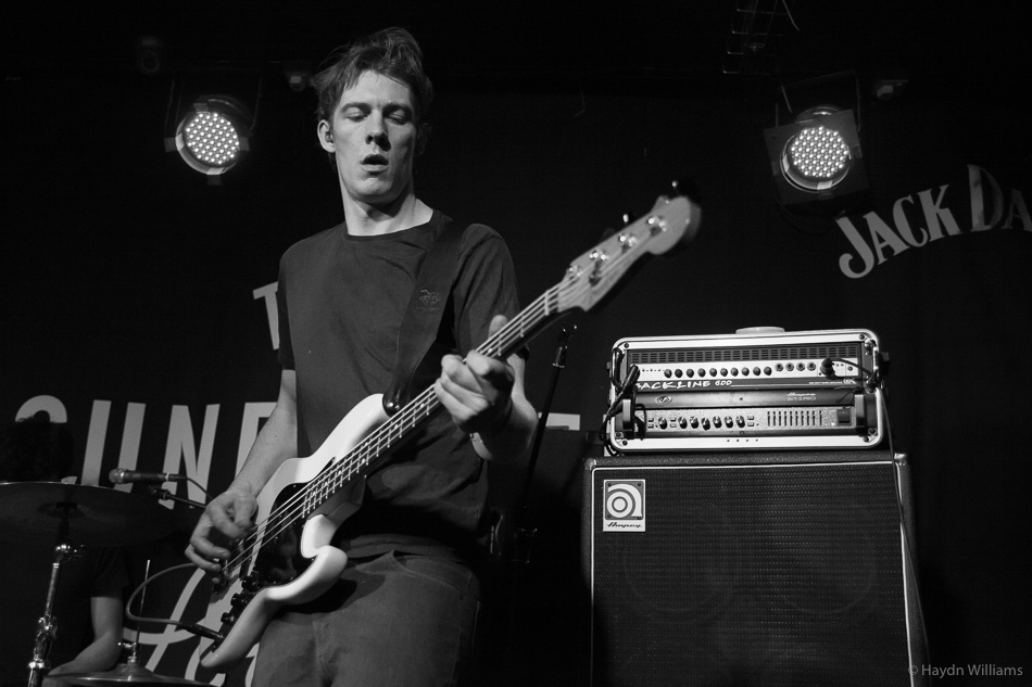 Estrons - Sunflower Lounge, Feb 2016. © Haydn Williams 2016