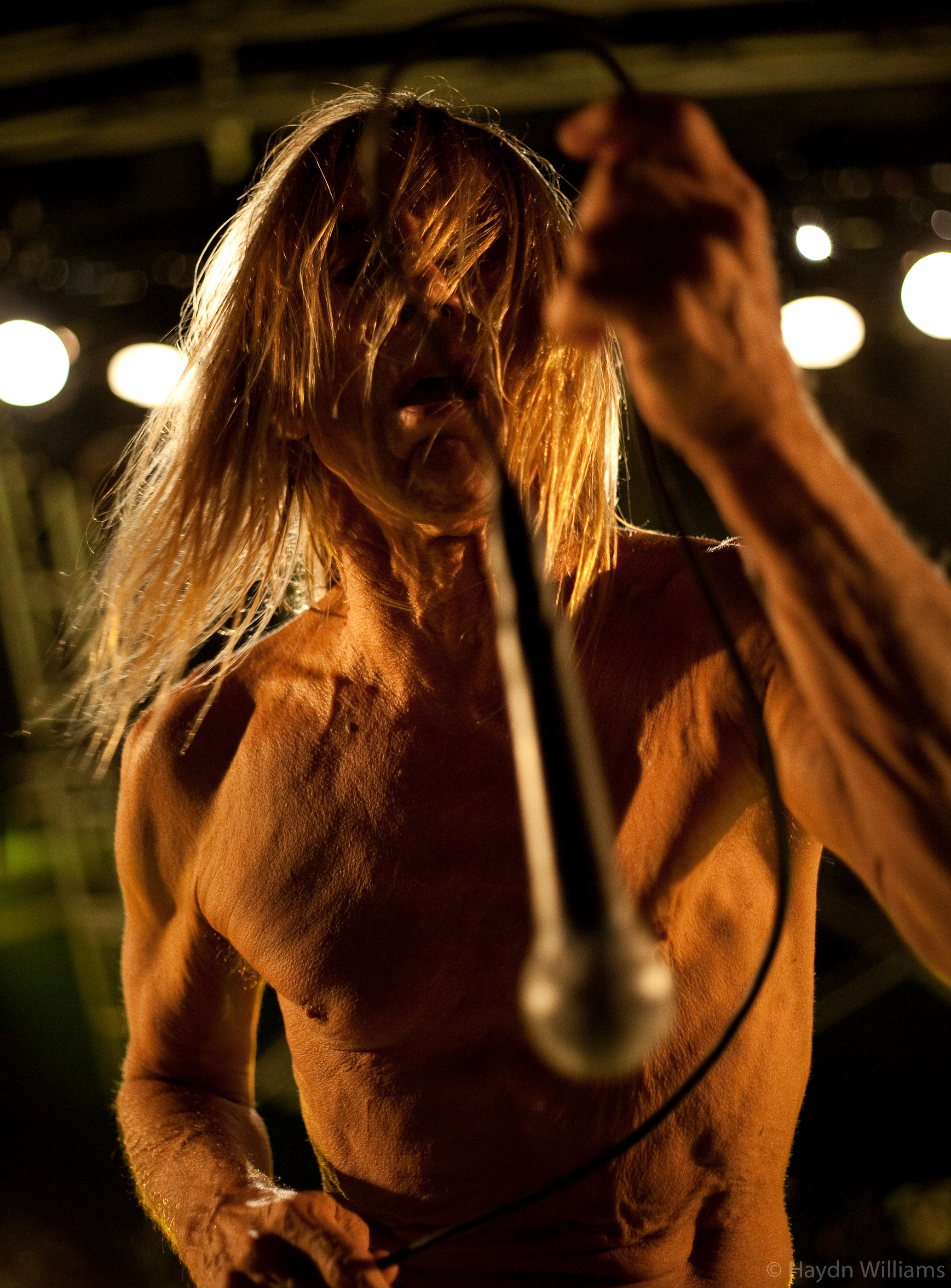 Iggy and the Stooges - Harewood House, Leeds - August 2007. © Haydn Williams 2008