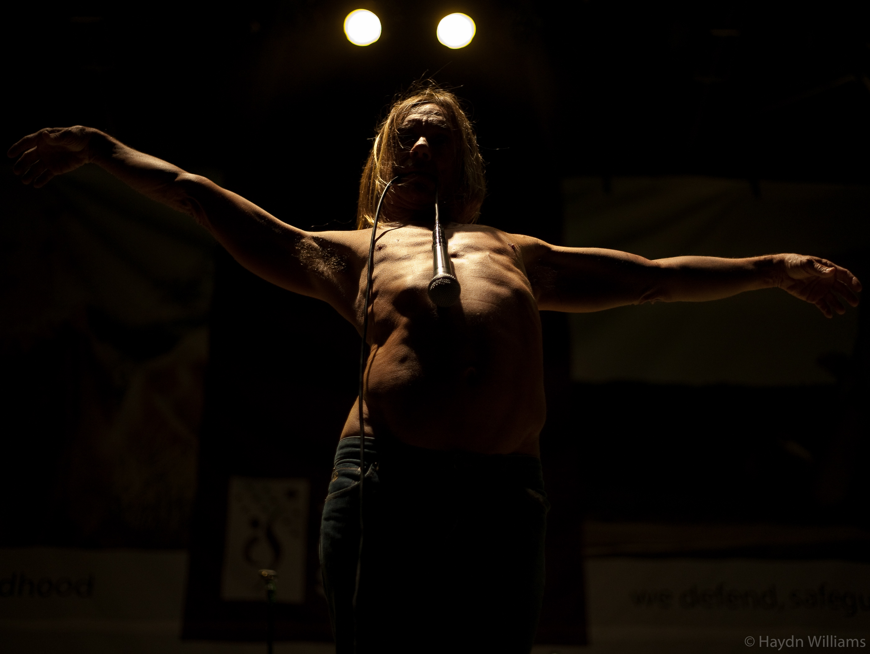 Iggy and the Stooges - Harewood House, Leeds - August 2007. © Haydn Williams 2008