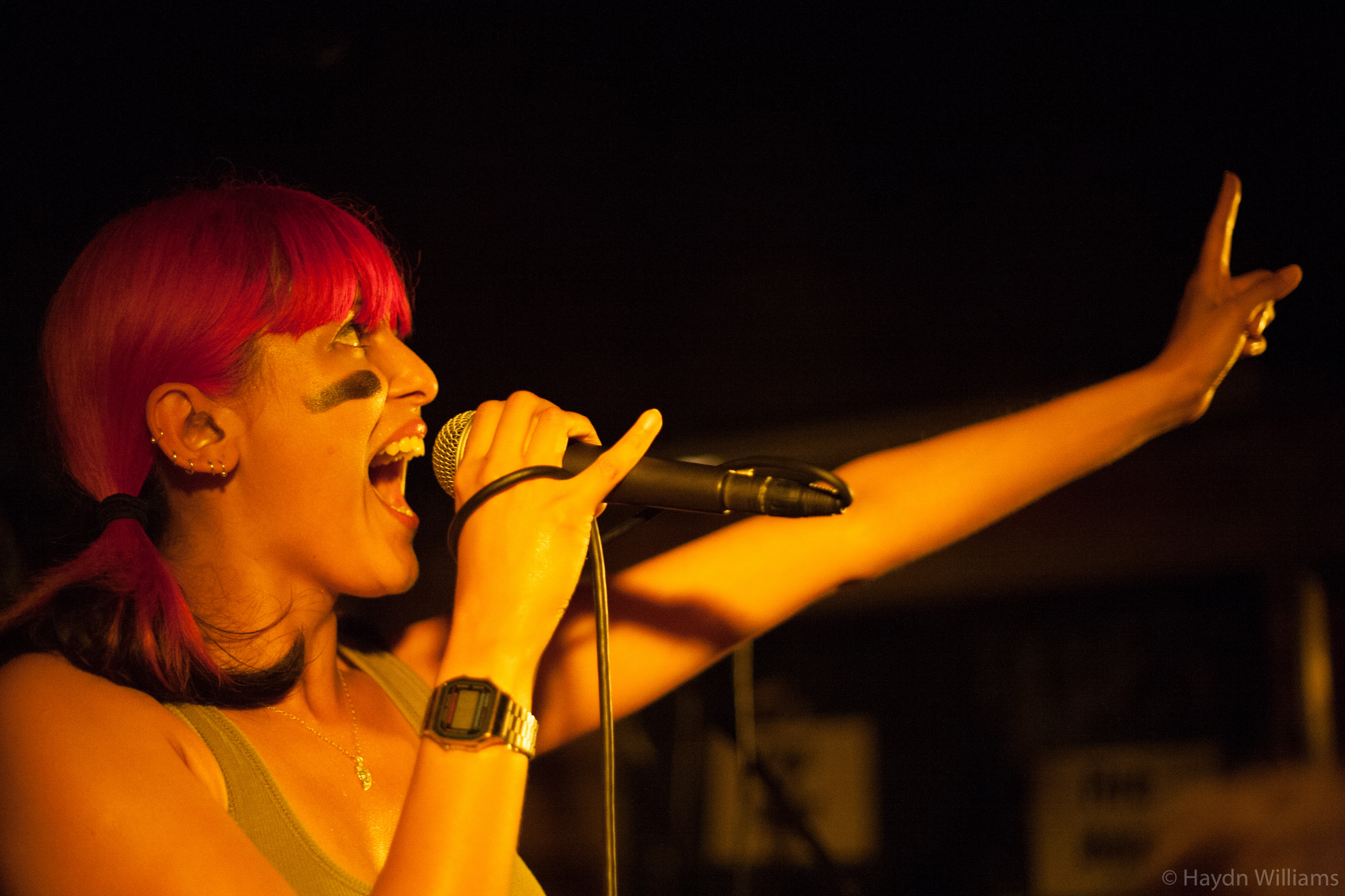 Sonic Boom Six - The Vic Inn, Derby - June 2008. © Haydn Williams 2008