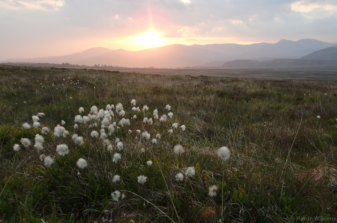 Sunrise over the Carneddau. © Haydn Williams 2016