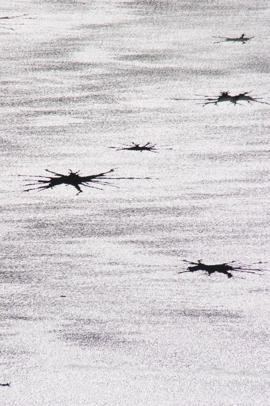 Ice patterns in frozen Llynau Mymbyr. © Haydn Williams 2006