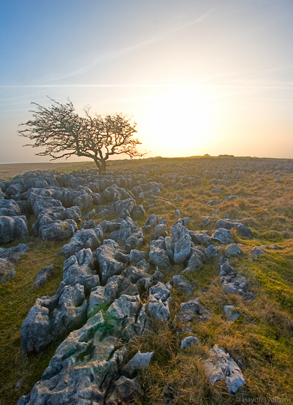 Limestone pavement, Yorkshire Dales. © Haydn Williams 2006