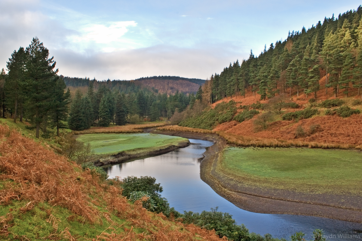 I haven't messed with the colours on this one, it just came out like this. © Haydn Williams 2005