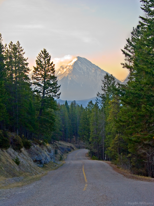 Rundle Mountain, Banff National Park. © Haydn Williams 2005