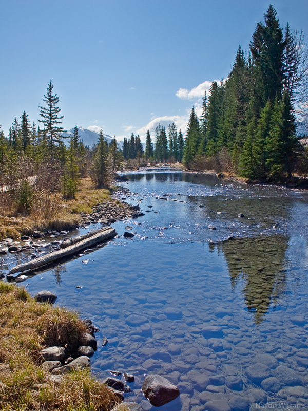 Policeman's Creek, Canmore. © Haydn Williams 2005