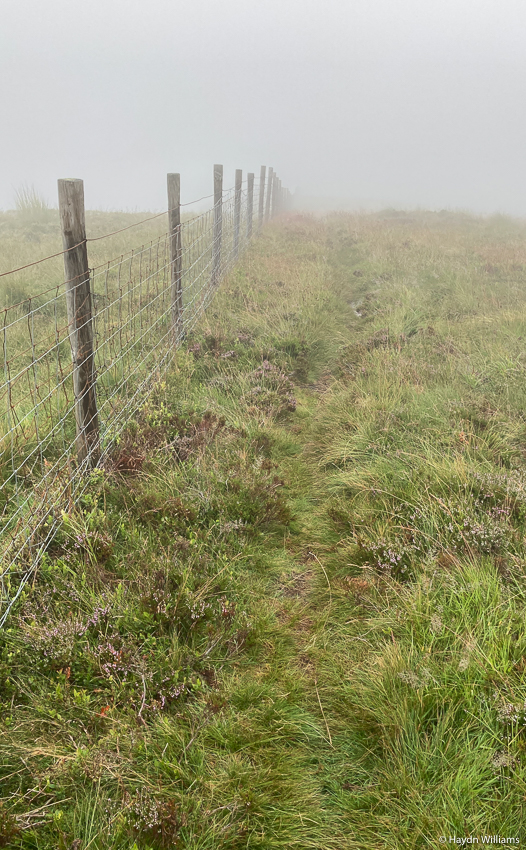 A fence line receding away into mist. © Haydn Williams 2021