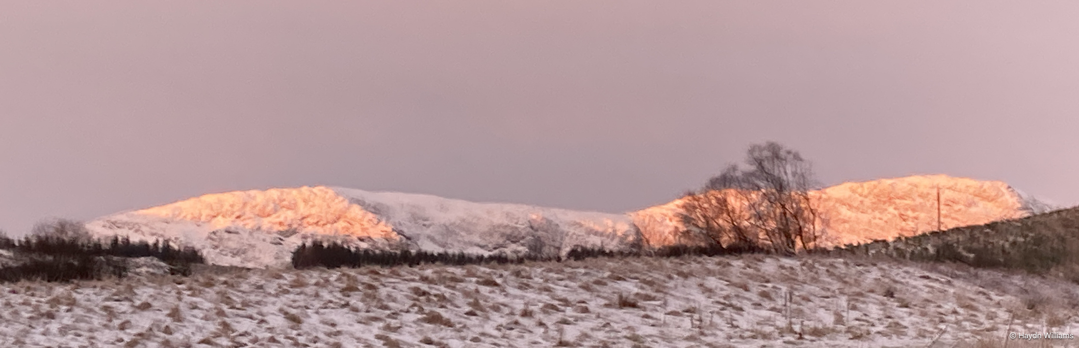 Snow-covered mountains under a pink sunrise sky. © Haydn Williams 2025