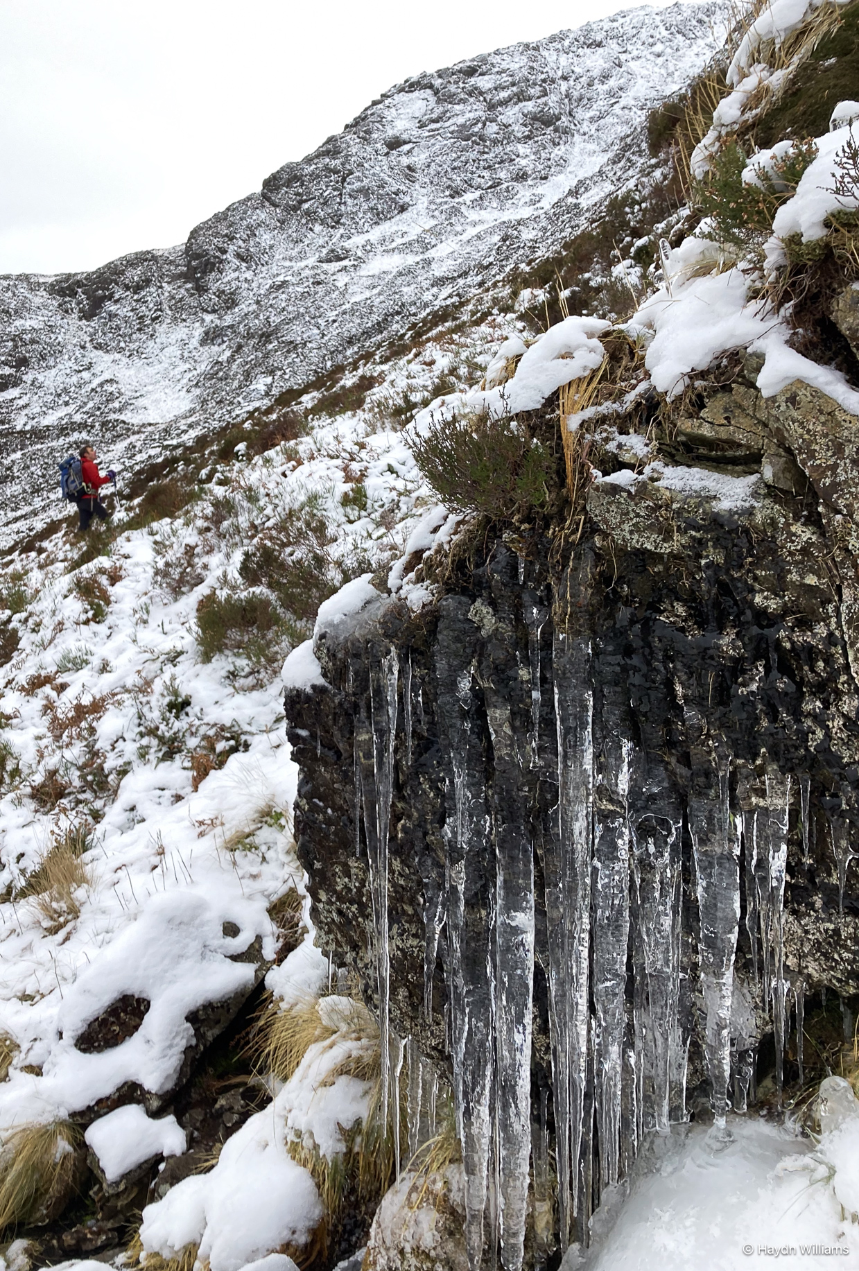 Icicles on a mountainside, with a climber next to them looking up at the cliff. © Haydn Williams 2025